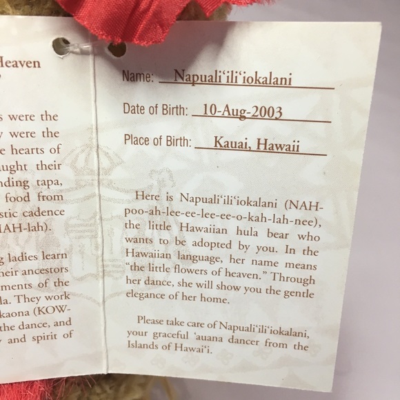 Hawaiian Collectibles Hula Girl Bear Passport Grass Skirt Plush w/Tag 2003 - Picture 9 of 12